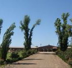 Newell Motor Inn - Narrandera - Accommodation NT