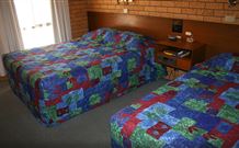Newell Motor Inn - Narrandera - Accommodation NT 1