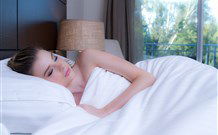 Remington Motor Inn - Muswellbrook - Accommodation NT 0
