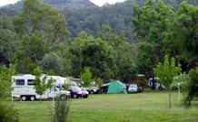 Sandy Hollow Tourist Park - Sandy Hollow - Accommodation NT 0