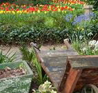 The Carrington Inn - Accommodation NT