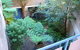 Balmain Lodge - thumb 2