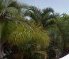 Ballina Beach Resort - Accommodation NT 4