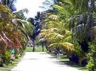 Andergrove Van Park - Accommodation NT 2