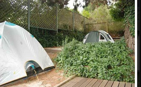 The Flying Fox Backpackers - Accommodation NT 2