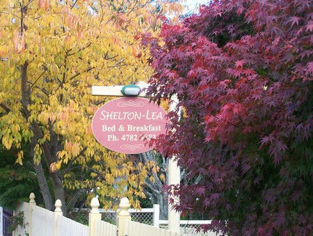 Shelton-lea Bed & Breakfast - Accommodation NT 0