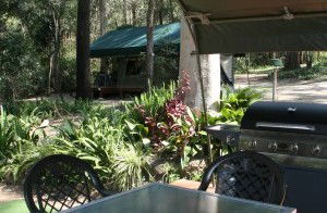 Tamborine Mountain Caravan & Camping - Accommodation NT 2