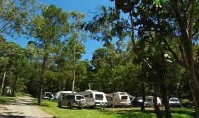 Tamborine Mountain Caravan & Camping - Accommodation NT 3
