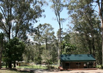 Tamborine Mountain Caravan & Camping - Accommodation NT 4