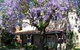 Burwood Boronia Lodge Private Hotel - thumb 2