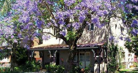 Burwood Boronia Lodge Private Hotel - Accommodation NT 2