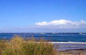 Carleton Inn - Accommodation NT 2