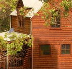 Barrington Tops Organic Retreat - Accommodation NT