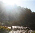 Blair Athol Estate - Accommodation NT