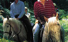 Cooby Springs Country Retreat - Accommodation NT 1