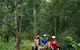 Cooby Springs Country Retreat - thumb 2