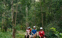 Cooby Springs Country Retreat - Accommodation NT 2