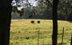 Historic Roseneath Station - thumb 6