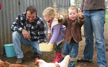 Linga Longa Farm Wingham - Accommodation NT 0