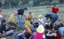 Linga Longa Farm Wingham - Accommodation NT 3