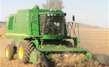 Linga Longa Farm Wingham - Accommodation NT 4