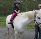 Mansfield Cottage Barrington Tops Accommodation - Accommodation NT
