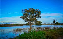 Morvern Valley Farm Stay Cottages - Accommodation NT 4