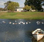 Old Redbank Farm Holiday - Accommodation NT