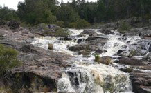 Wildwood Guesthouse - Accommodation NT 2