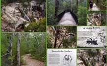 Finchley Bed And Breakfast - NT Tourism 7
