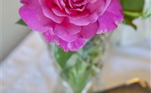 Newcastles Bed And Breakfast - Accommodation NT 3