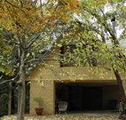 Rose Lindsay Cottage - Accommodation NT