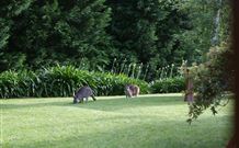 Yallambee Bed And Breakfast - Accommodation NT 4