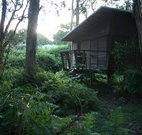 Mount Seaview Resort - Accommodation NT