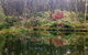 Brigalow Cottage - thumb 2