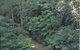 Eco Huts - Jervis Bay Getaways - thumb 1