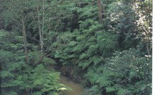 Eco Huts - Jervis Bay Getaways - Accommodation NT 1