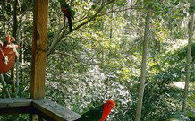 Eco Huts - Jervis Bay Getaways - Accommodation NT 2