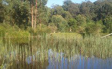 Fosterton Lodge Retreat - Accommodation NT 0