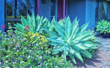 Jerrys Plains NSW Accommodation NT