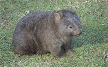 Seakissed Beachhouse - Accommodation NT 0