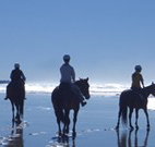 The Hayloft - Accommodation NT