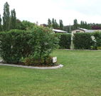 Wheatfield Cottage - Accommodation NT