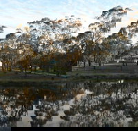 Greysen Farmstay - Accommodation NT