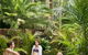 Gaia Retreat And Spa - thumb 1