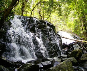 Bellthorpe Stays - Nature's Retreat - Accommodation NT 1