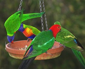 Bellthorpe Stays - Nature's Retreat - Accommodation NT 3