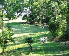 Bellthorpe Stays - Nature's Retreat - Accommodation NT 2