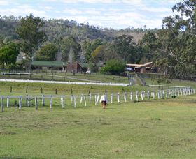 Kellarni Downs Farmstay-Scenic Rim - Accommodation NT 0
