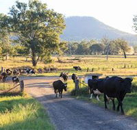 Tommerups Dairy Farmstay - Accommodation NT